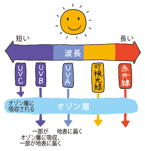 春は真夏より紫外線が多い！？紫外線Ａ派（ＵＶＡ）に気を付けよう！