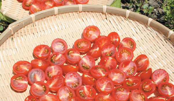 "安全な食品"ってどんなもの?夏の保存食、ドライトマトにも挑戦
