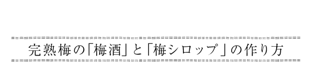 完熟梅の「梅酒」と「梅シロップ」の作り方