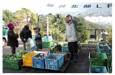 山本松五郎商店