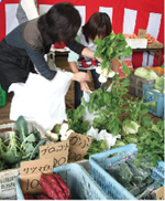 湘南ネット・山本松五郎商店