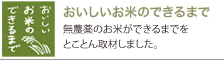 おいしいお米のできるまで