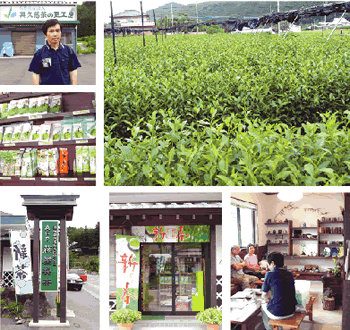 藤　屋　製　茶