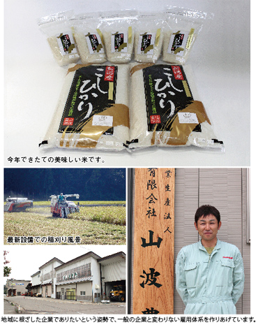 新潟のお米 山波農場