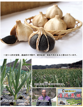 村瀬産業 熟成黒にんにく 清流黒姫
