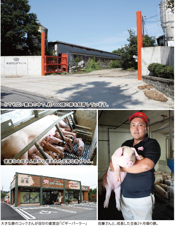 養豚農場 佐藤ピッグファーム