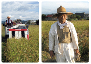 山形県のブランド米「つや姫」、おきたま興農舎代表・小林亮さん。