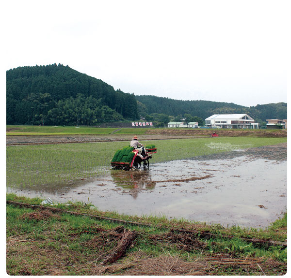 田園