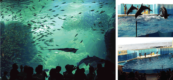 江ノ島水族館全景